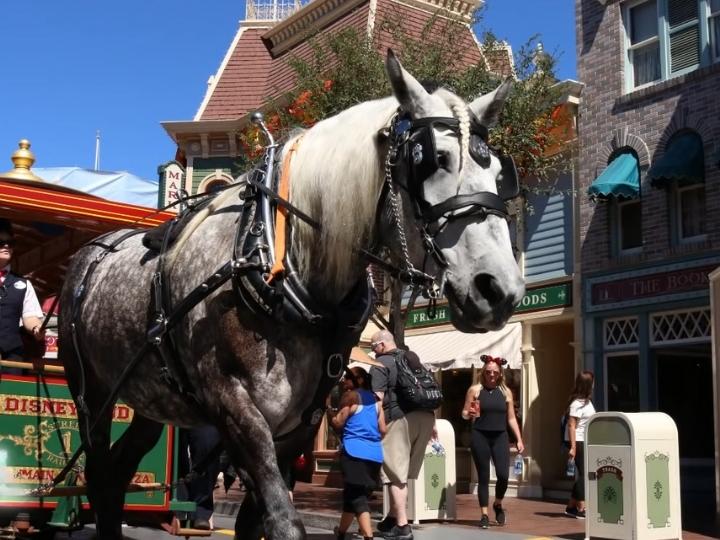 Main Street, U.S.A.
