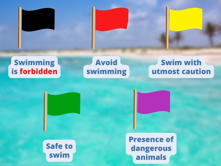 Flag’s colors meanings
