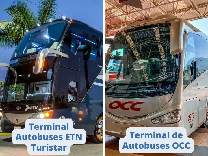 Safe Buses in Puerto Escondido