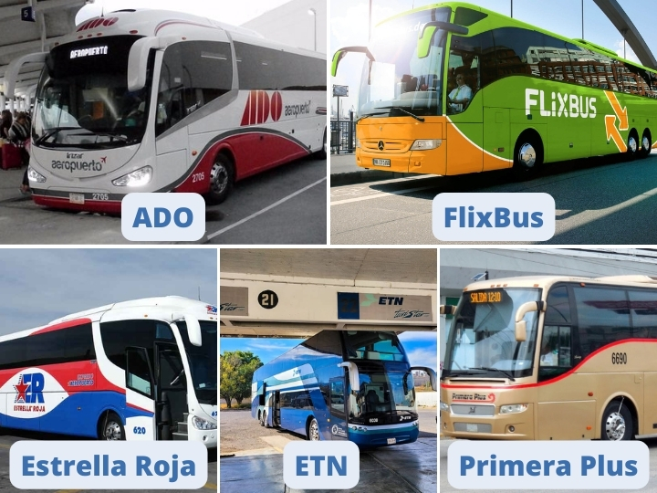 Safety in Buses in Veracruz