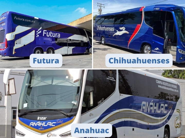 safe bus services in Queretaro
