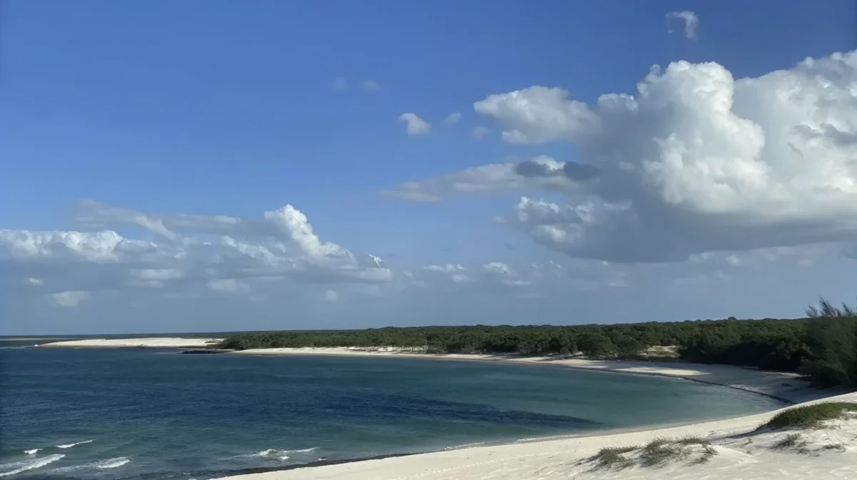 the beach path to treachery beach